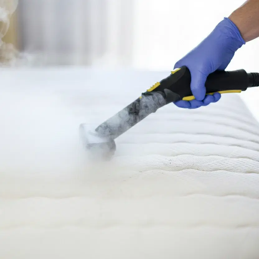 Mattress Cleaning